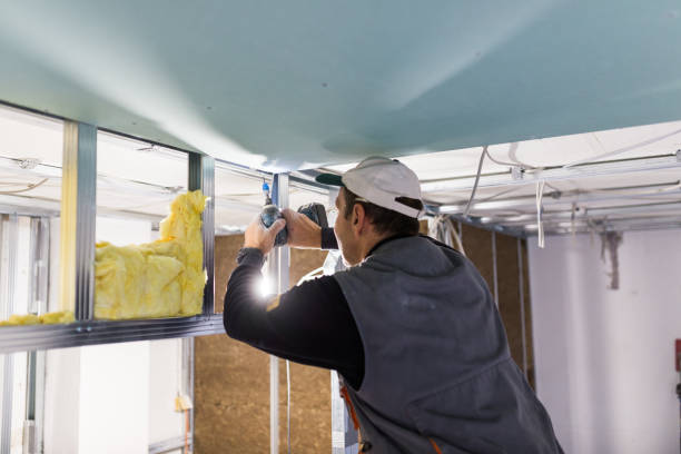 Best Types of Insulation in Brookdale, SC